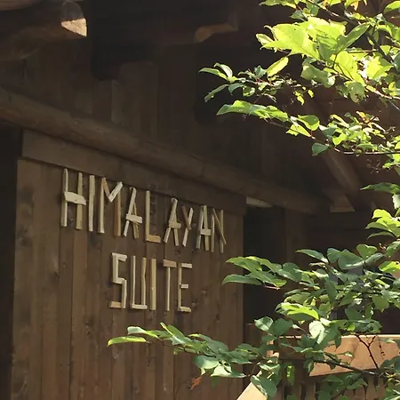 Bed & Breakfast Eirl Dolomites Retreat