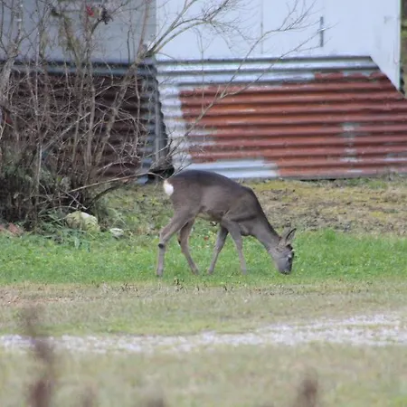 Eirl Dolomites Retreat 3*