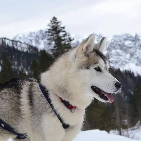 Eirl Dolomites Retreat 3*