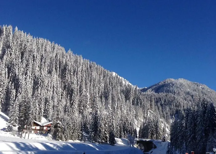 Bed & Breakfast Eirl Dolomites Retreat 3*